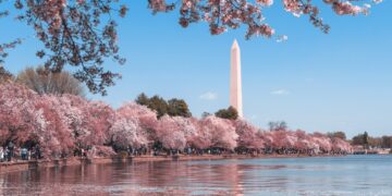 Best Destinations For Blooms