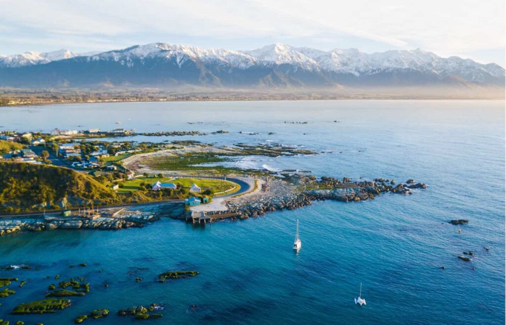 Eco Friendly Adventures To Do In Kaikoura