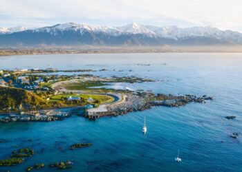 Eco Friendly Adventures To Do In Kaikoura